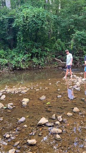 Brewing Tree Beer Company on Reels