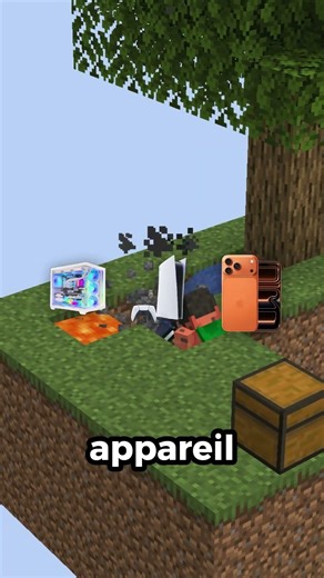 This player has completely transformed their Skyblock island!