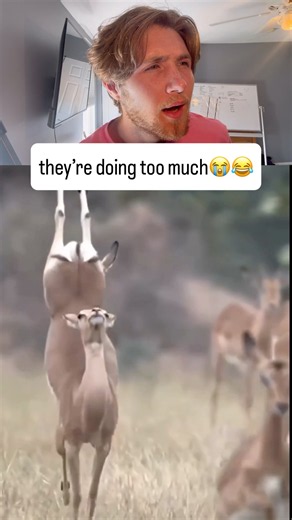 doing too much 😂😭