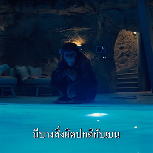 ภาพยนตร์ระทึกขวัญฮาร์ดคอร์จากผู้กำกับ โจฮันเนส โรเบิร์ตส์ ที่จะทำให้ลุ้นจนลืมหายใจ #PrimateMovie #ลิงคลั่งพันธุ์ดิบ ฉายแล้ววันนี้ ในโรงภาพยนตร์ | United International Pictures Thailand