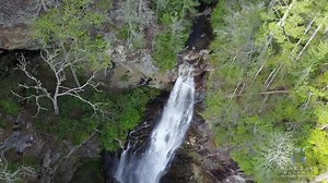 13K views · 91 reactions | You’re not gonna believe this....we just...