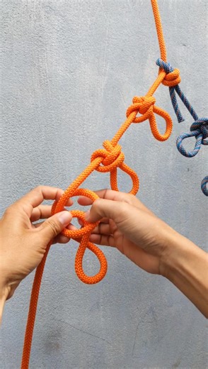 Alpine Butterfly loop knot. #knottutorials #idea #MasterKnot #reels #knotsforclimbing #knots #ropecoilingknot #stringline #hacks #Bowline | Weekofknots
