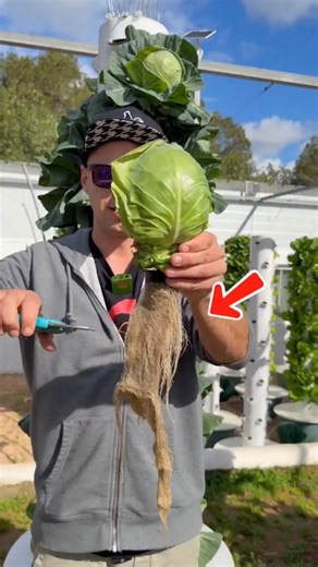 Efficient Farming