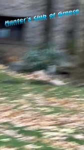 Wolf 🐺🐺🐺 Somewhere in Greece 🇬🇷 | Hunters Club of Greece