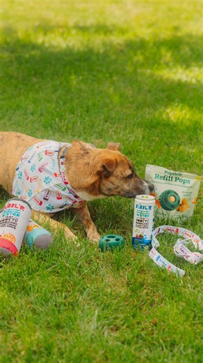 BUBBL'R on Instagram: "✨ GIVEAWAY CLOSED ✨ Good days start with bubbles and belly rubs 🐾 @drinkbubblr and @mywoof have teamed up to treat one lucky winner to a BUBBL’R leash, collar, bandana, dog toys, 4 packs of BUBBL’R, and the Woof Alpha Pack! 💖 Here’s how to enter: 🐶 Like and save this post 🐶 Follow @drinkbubblr and @mywoof 🐶 Tag at least 3 friends in separate comments! 🐾 Bonus entry: add this post to your story and tag both brands! This giveaway ends September 15th. U.S. Residents onl