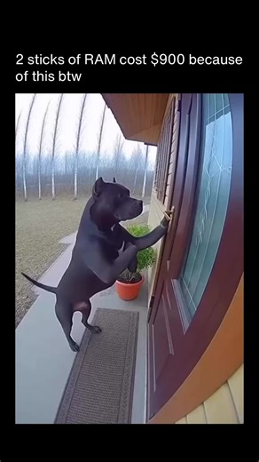 AI Unfolded | Artificial Intelligence on Instagram: "RAM prices are starting to feel completely detached from reality, and it’s not because of gamers or PC builders. AI data centers are soaking up the global memory supply. Chipmakers are prioritizing high margin memory like HBM for AI workloads, leaving less capacity for consumer RAM and pushing prices even higher. AI isn’t just changing software. It’s quietly reshaping hardware markets too. #ai #automation #tech #ainews"