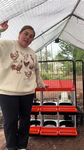 New Nesting Boxes for Buff Orpingtons