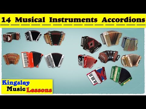 Accordion 14 Different Types Of Accordion | Musical Instruments