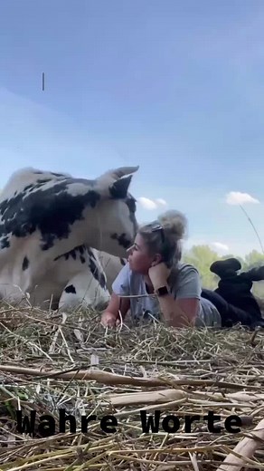 Der Pinguin Papa (@pinguin_papa)’s videos with Originalton - Der Pinguin Papa