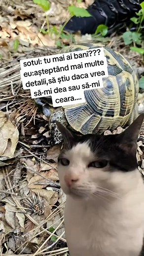 Viral Ro Hub #f #fyp #reels #viral #romania #o #Y #u #worldwide | Viral Ro Hub