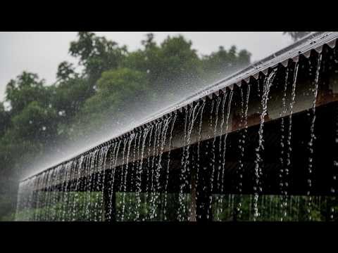 ASMR Rainstorm Night Ambience 🌧️ Fall Asleep Quickly and Wake Up Feeling Better Rested