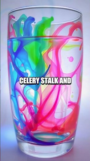 Capillary Action Magic: Celery Stalk Experiment