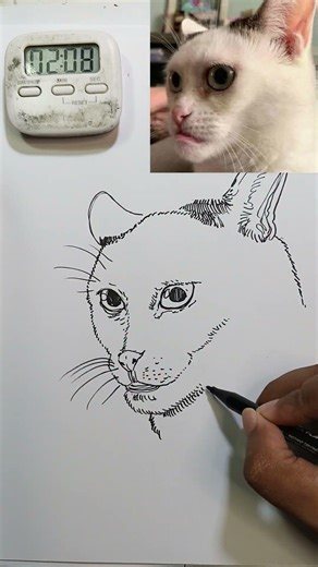 Gambar Hewan Kucing Cakil dalam 5 menit #cat #kucing #meme