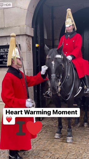 689K views · 4.9K reactions | Epic Rescue at Horse Guard Parade! 隸‍♂️...