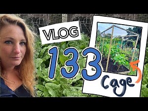 Ep133 - Building a new Brassica Cage! Sowing Sweet Peas and Planting Out Purple Sprouting || Plot 37