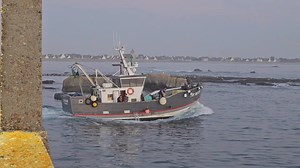 LA SARDANE Jeremy nous salue | Ma Bro du 29 et. d'ailleurs