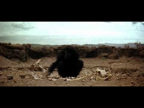 Ape. '2001: A Space Odyssey' / Dawn of man