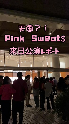 日本でのピンクスウェッツ来日公演レポート