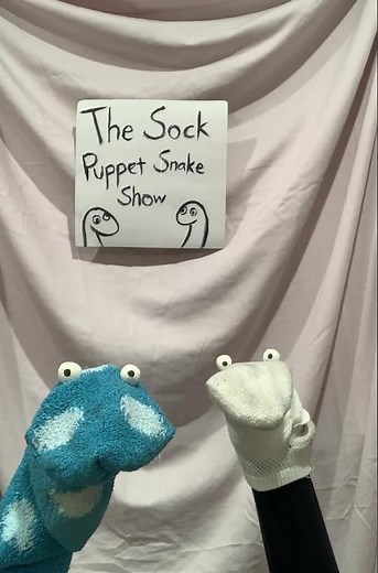Sock Puppet Snake show: Bump in the head #sockpuppets #funny #comedy