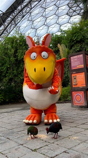 8.2K views · 62 reactions | Did someone say snack time?  Zog has stolen the hearts of our curious roul rouls who never pass up our tasty seeds   Joining us this half term? Start planning your Zog and the Flying Doctors Eden Project adventure  Every day until 2 Nov #EdenProject #Zog #JuliaDonaldson #AxelScheffler | Eden Project | Facebook