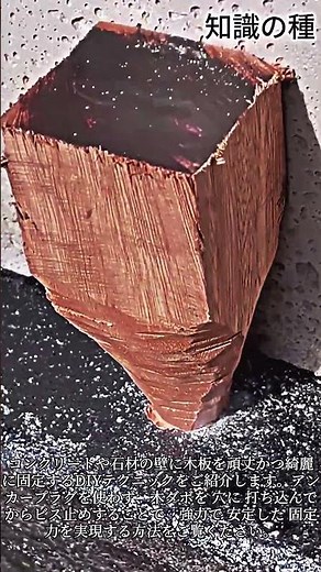 アンカー不要！コンクリートにビスを強力固定する驚きの方法 #DIY #LifeHacks #Woodworking #Construction #Tools