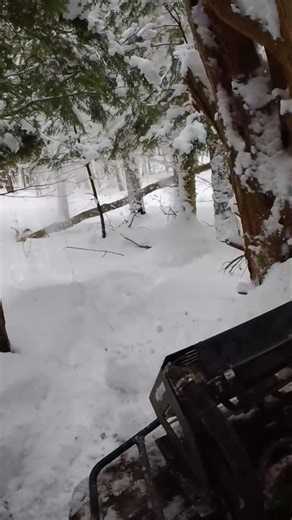 Winching a tree down🤣 #fourwheeler #fails #fail #funny #stuck