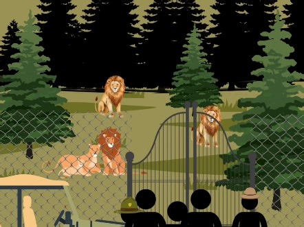 最新视频来袭，快来看看吧！