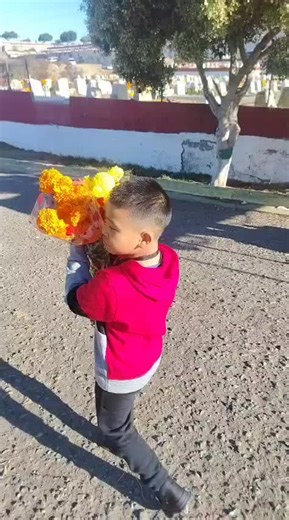 Videos de enano🍓 (@enano4291) con “sonido original - enano🍓”