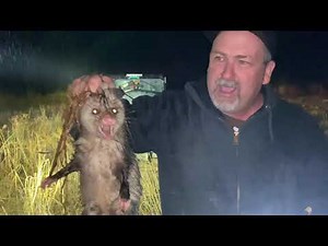 Epic Hog Hunting in North Carolina 2021