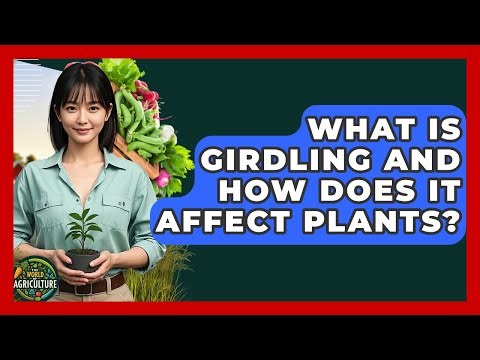 What Is Girdling And How Does It Affect Plants? - The World of Agriculture