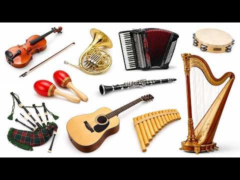 Musical Instruments in English