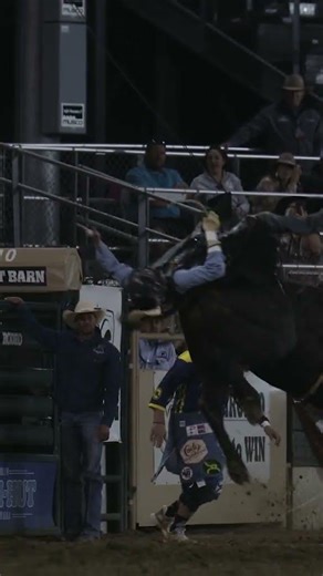 BULLRIDING!