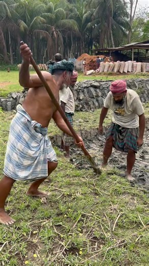 The extraordinary process of digging land by an elder using traditional methods.