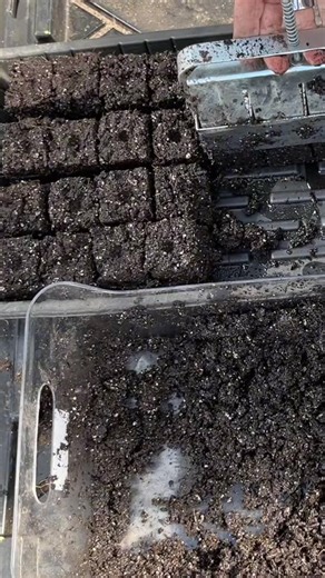 How to Soil Block