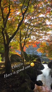 Good & Natural healing to you ^ - ^ | Hiro Sano