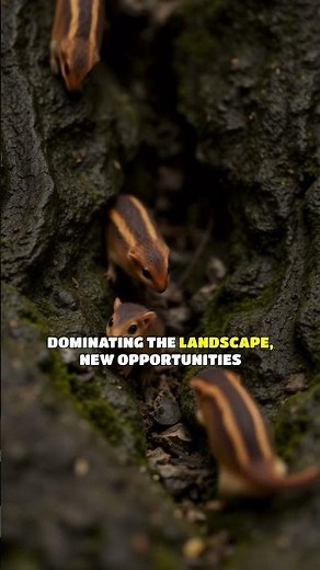 The Paleocene Epoch: Life’s New Beginning After the Dinosaurs