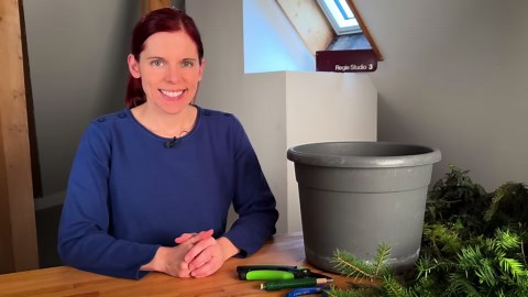 Adventskranz binden - schnell & einfach mit dem Eimer Trick (ohne Strohling)