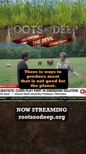Roots So Deep (you can see the devil down there) is available everywhere to rent for just $9.99 for three months! rootssodeep.org After years of research, just how much impact did we find Adaptive Multi-Paddock grazing to have? And would the conventional farmers change if we could show them the difference working with nature can make? Be sure to watch all four episodes before our live community Q&A on April 12th! Sign up ahead of time to ask your question and get registered through the link in o