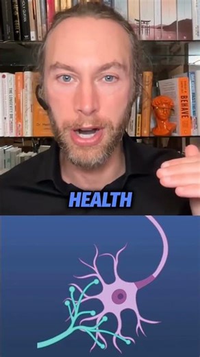 Why Inflammation Is Everything