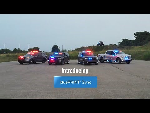 Introducing bluePRINT Sync