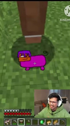 gamerfleet #minecraft