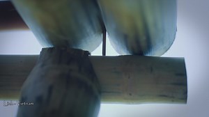 121K views · 4.5K reactions | Xây dựng một cánh cổng lớn bằng cách ghép nối các thanh tre lại với nhau - Phục hồi trang trại sau cơn bão lớn Build a Big Gate By Joining Bamboo Sticks Together - Farm Recovery After a Major Storm #Linhvietnam #linhvn #bambo #build #farm | Linh Vietnam | Facebook