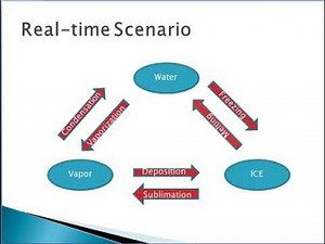 State Transition Networks