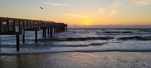 7.9K views · 3.4K reactions | Seven Minutes of Serenity | First Light InSite | Facebook