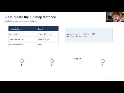 UPDATED Unit 2 Mapping Demonstration