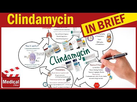 Clindamycin ( Cleocin ): What is Clindamycin Used For, Dosage, Side Effects & Precautions?