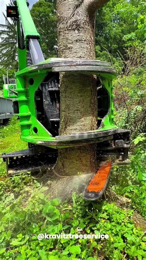 How Hydraulic Tree Cutter Works