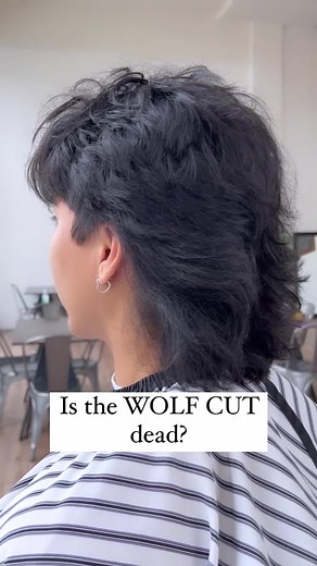 The Wolf Cut has recently been the trendiest hairstyle for guys. Some hairstyle trends come and go pretty quick but is the wolf cut a hairstyle that will stick around? #menshair #menshairstyle #menshairstyles #mensgrooming #wolfcut #wolfcutmullet #wolfcuthair #wolfcutcurlyhair #hairpaste #menshairproducts #menshairproduct