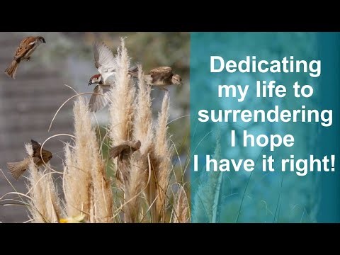 Surrendering - What is it and why is it important to me?