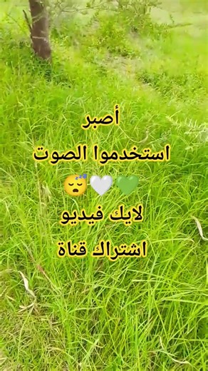 استخدموا الصوت 😴🤍